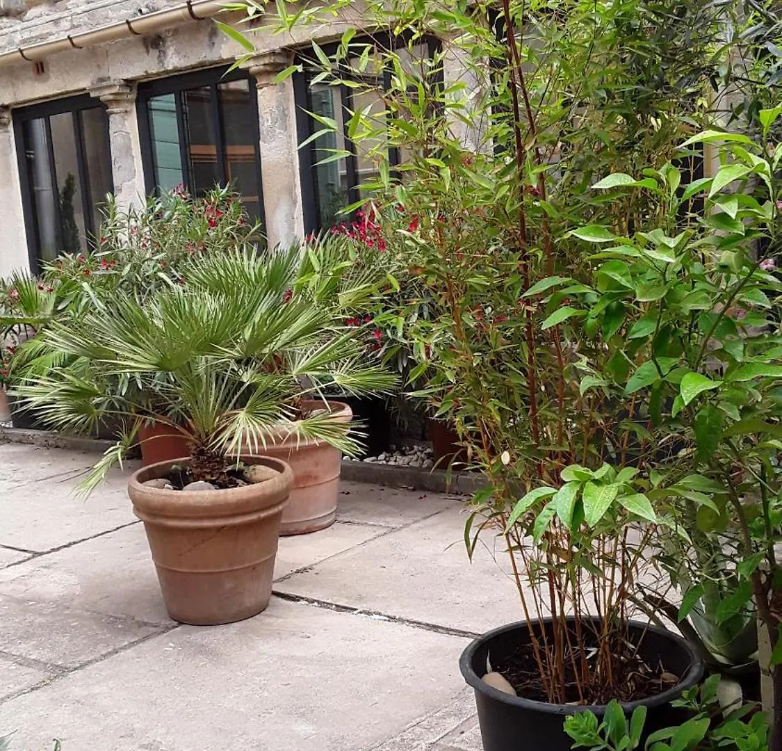 Apartment Le Clos Du Rouet Tarascon France
